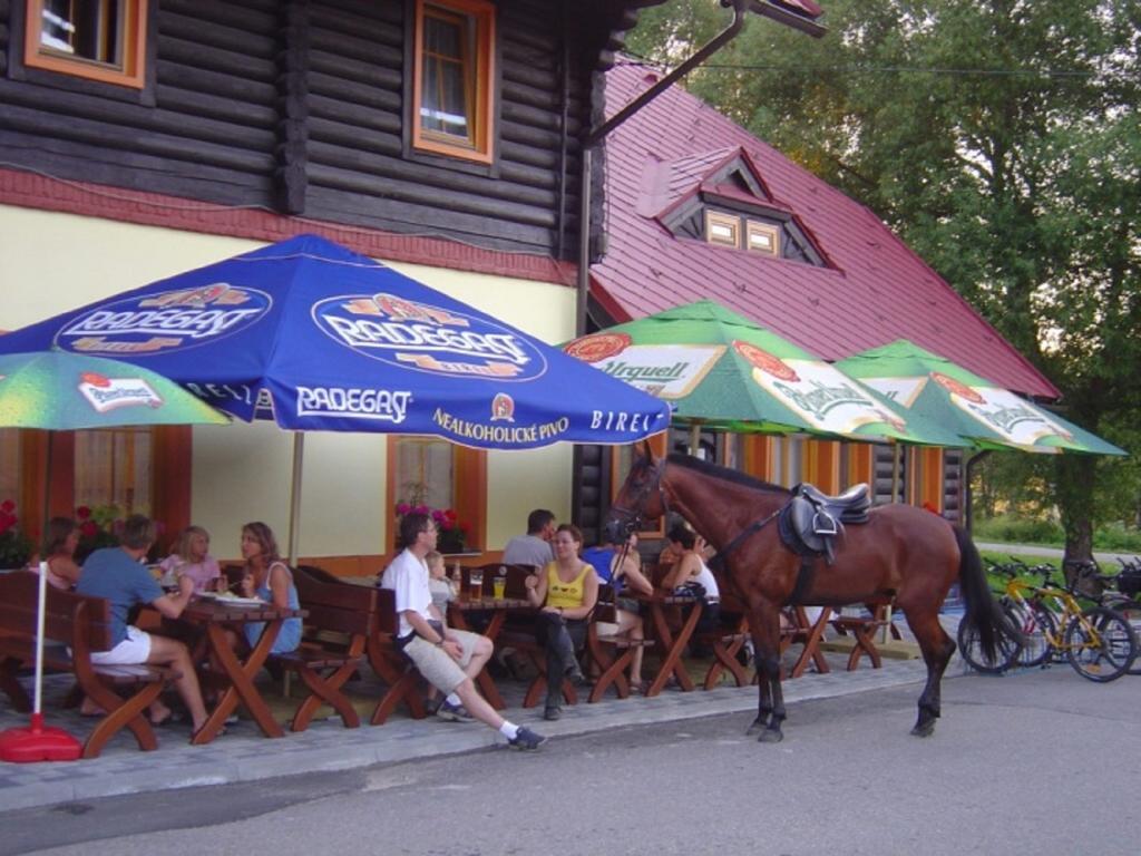 Penzion Pstruh Stožec Exterior foto